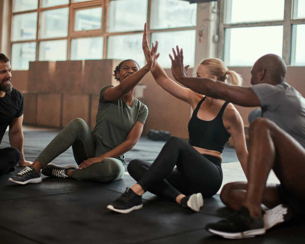 stronger healthier leaner programme